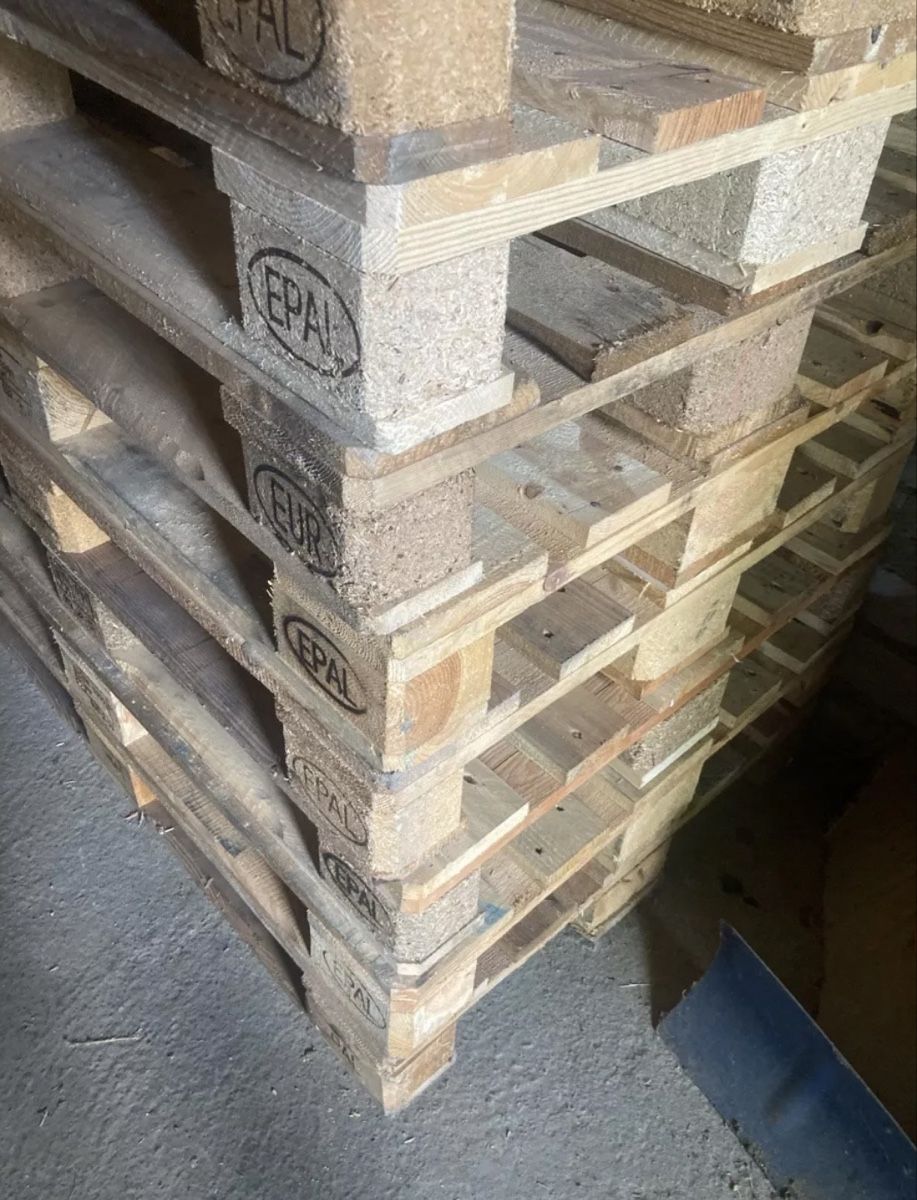 Pallets: Paletten – Usato da Egerkingen venduto da Jung-Unternehmer 2