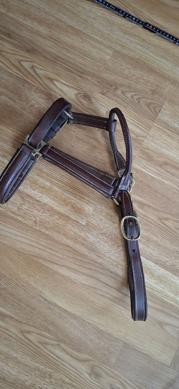 Zaumzeug & Halfter: stallhalfter  – Gebraucht aus Ricken SG von Oesti.ha 1