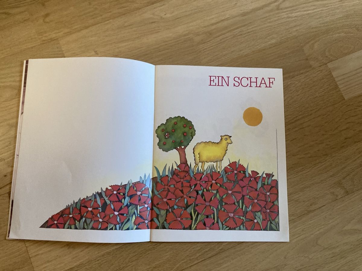 Libri: Kinderbuch – Usato da Bern venduto da NAJAW85 1