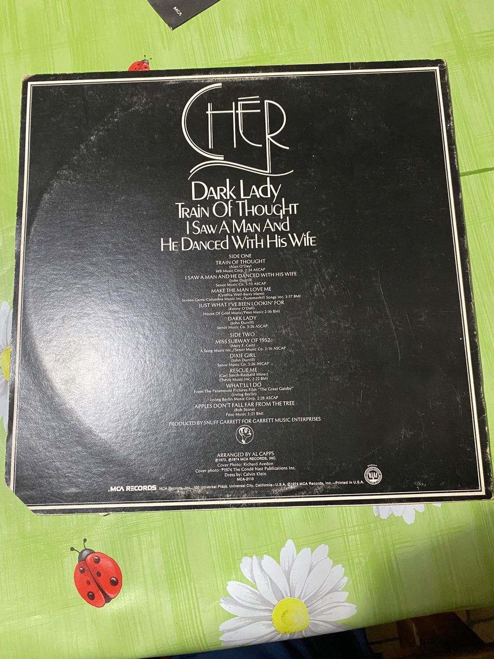 Dischi in vinile: Vinyle 33 tours de Cher Dark Lady – Usato da Satigny venduto da Haddock0 1