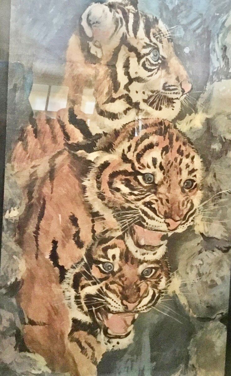 Foto & Immagini: Vintage Tigerbild – Usato da Schlieren venduto da Jeajet