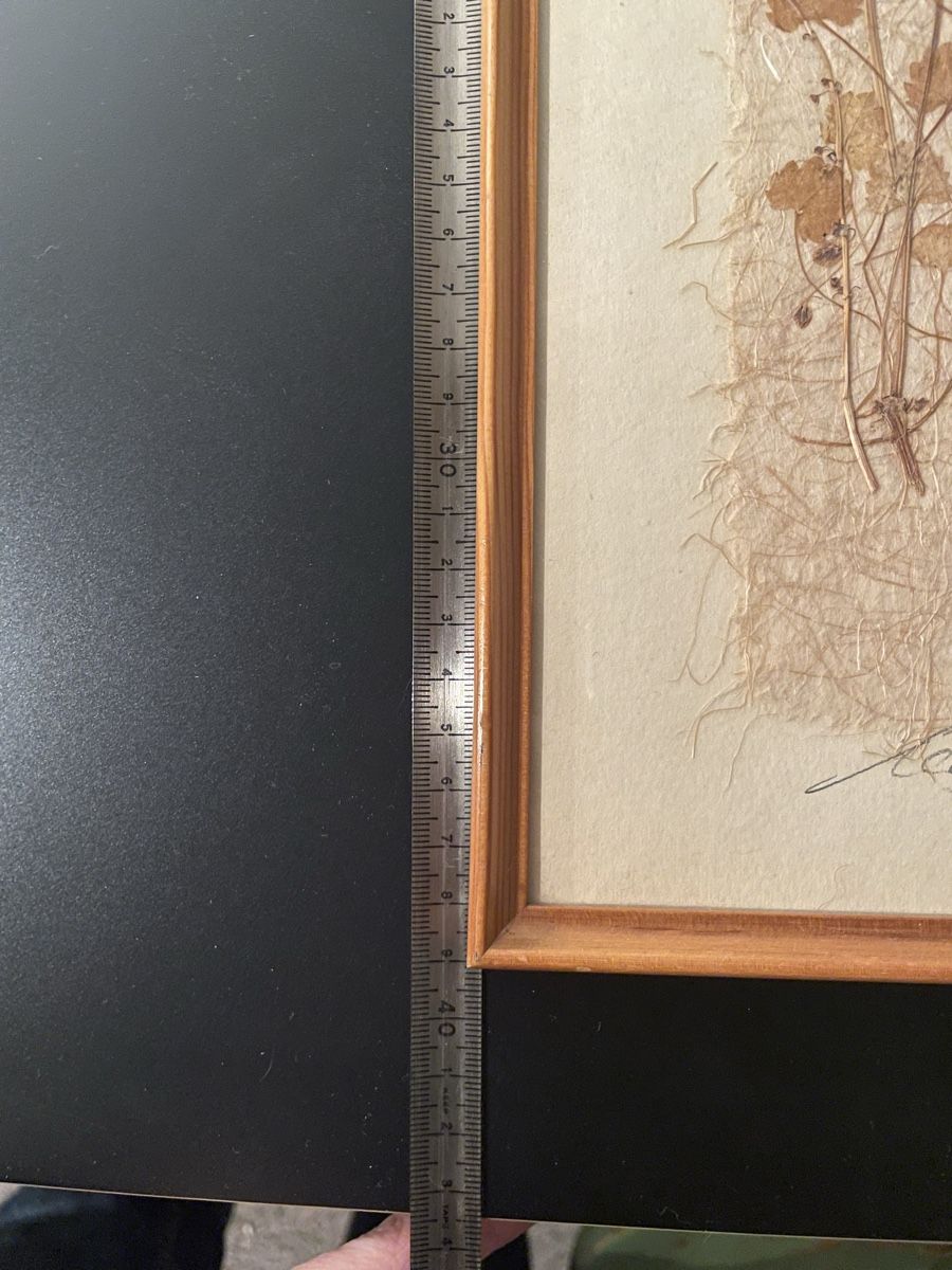 Poster & Bilder: Original Relly Mailaender Trockenblumen Bild gerahmt – Gebraucht aus Dietlikon von VintageStudioZurich 5