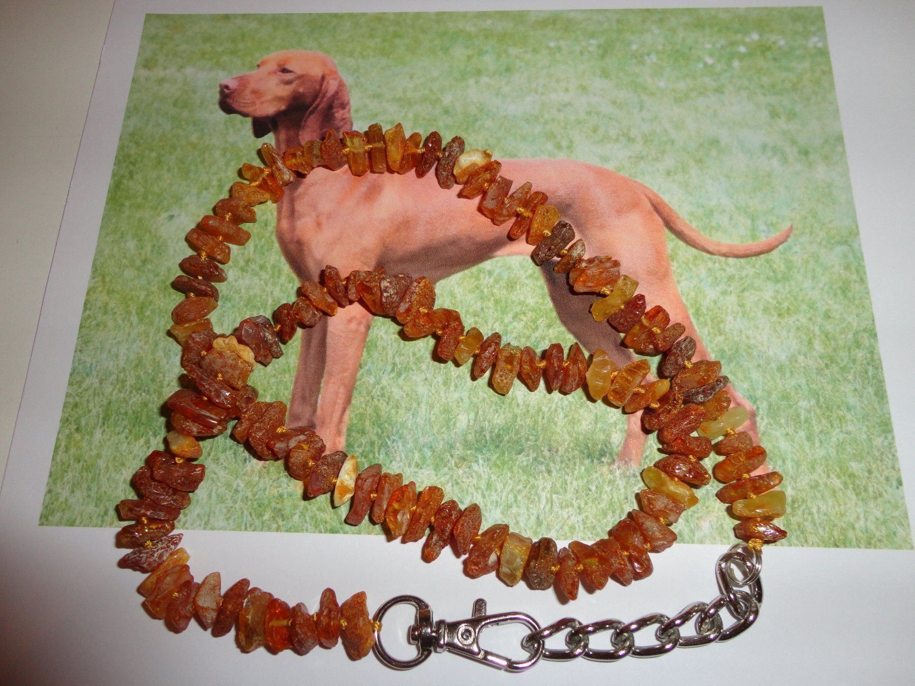 Catenine: Hundekette - Bernstein/Amber/Ambre – Nuovo (secondo la descrizione) da Biberist venduto da tl-schmuck