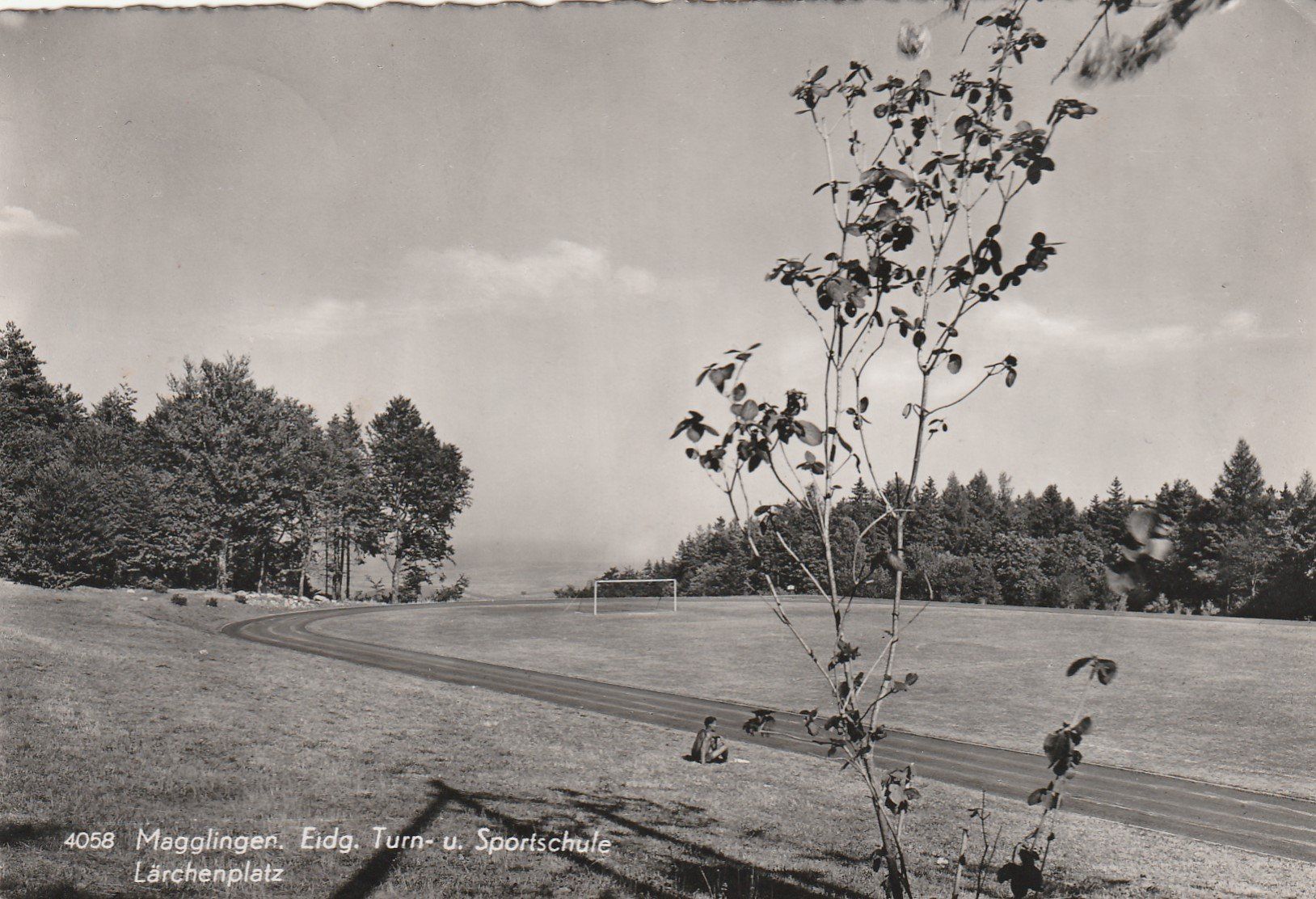 Cartes postales: Magglingen-Eidg.Turn u.Sportschule Lärchenplatz-1956 – D'occasion à uttwil par Koehlerfred