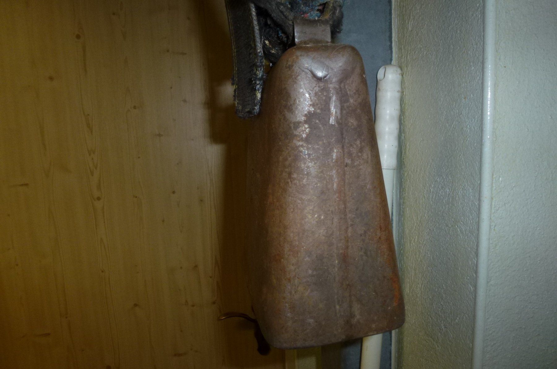 Cloches & sonnailles: Rinder Treichel – D'occasion à Bürglen UR par daisyxy5 2