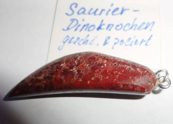 Anhänger: Anhänger Dino-Knochen als Zahn geschliffen ECHT – Neu (gemäss Beschreibung) aus Bleienbach von Mineral_Antik57
