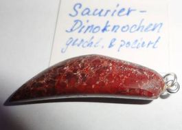 Anhänger Dino-Knochen als Zahn geschliffen ECHT