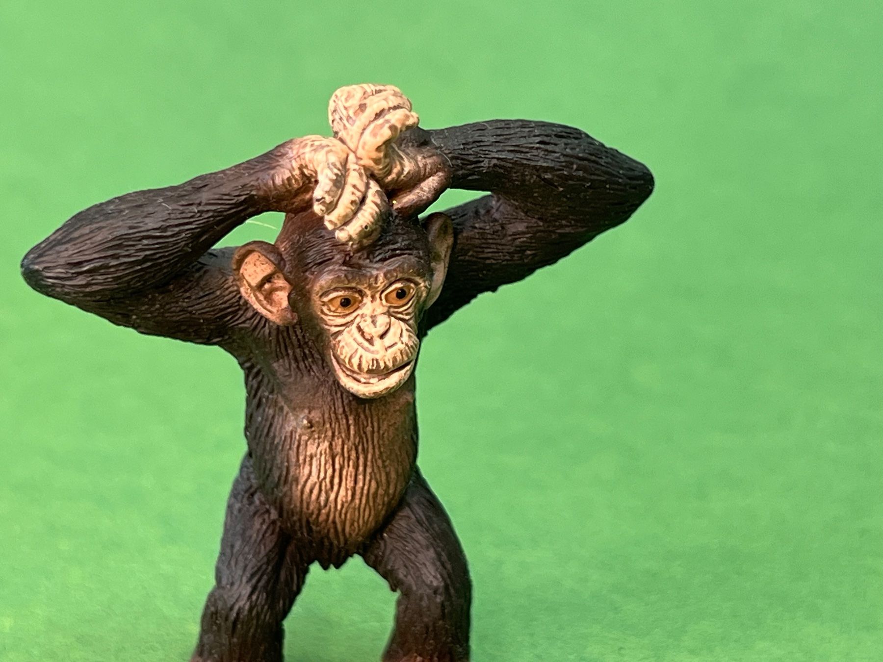 Schleich Statuette: Schleich 14680 Schimpansen-Junges Affe Schimpanse – Nuovo (secondo la descrizione) da Ennetbaden venduto da mapa05 2