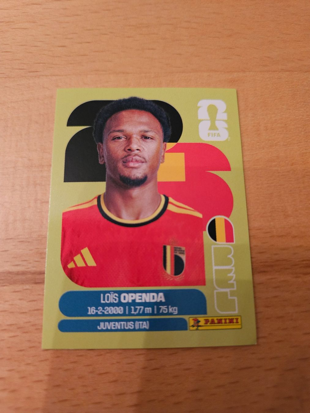 Panini Sammelbilder & Trading cards: Panini WM 2026 BEL 19 – Neu (gemäss Beschreibung) aus Winterthur von melac