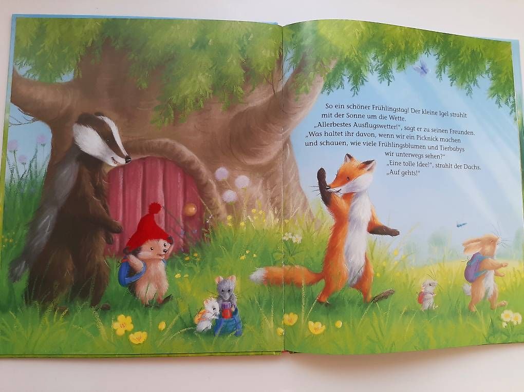 Libri: Kinderbuch "Der kleine Igel und das verlorene Entchen"  – Usato da Basel venduto da Renato_hirzi 1