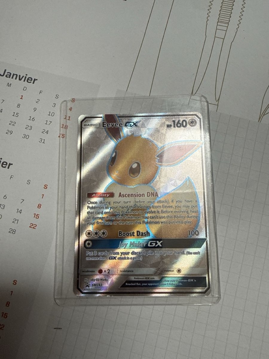 Pokémon Sammelbilder & Trading cards: Evoli gx – Gebraucht aus Appenzell Meister. von ROMDIE10