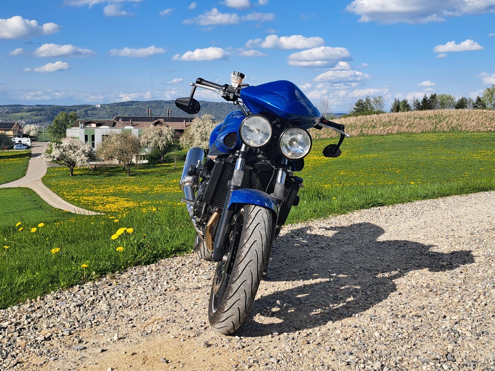 Triumph Route: Triumph Speed four – D'occasion à Pfungen par sev_z9ln 1