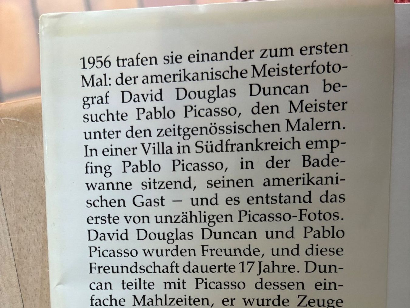 Libri: Adieu Picasso – Usato da Engelberg venduto da Childers 3