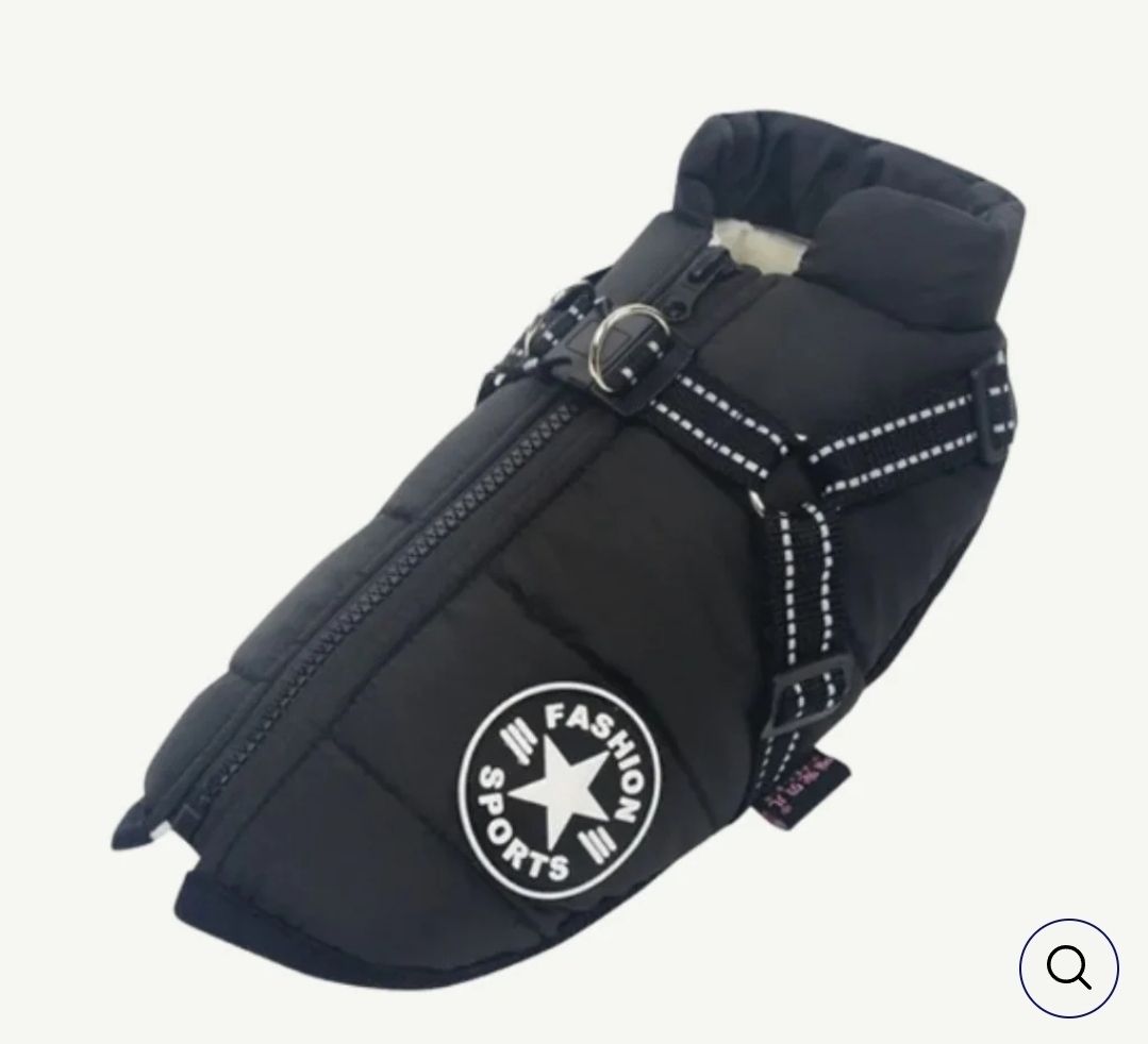 Abbigliamento: Hundemantel PawsGuard – Nuovo e nell'imballaggio originale da Ballwil venduto da Outback 1