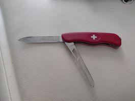 Victorinox Schweizer Käse-Messer Rot guter Zustand