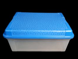 ROTHO Transparente Aufbewahrungsbox mit Deckel