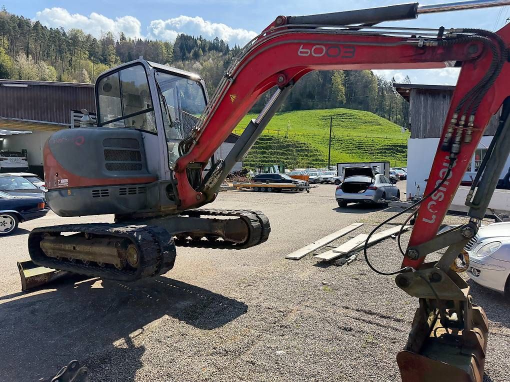 Escavatori: bagger neuson 6003 rd  6-tonnen 5400 std mit partikel – Usato da Wila venduto da ABM_As 2