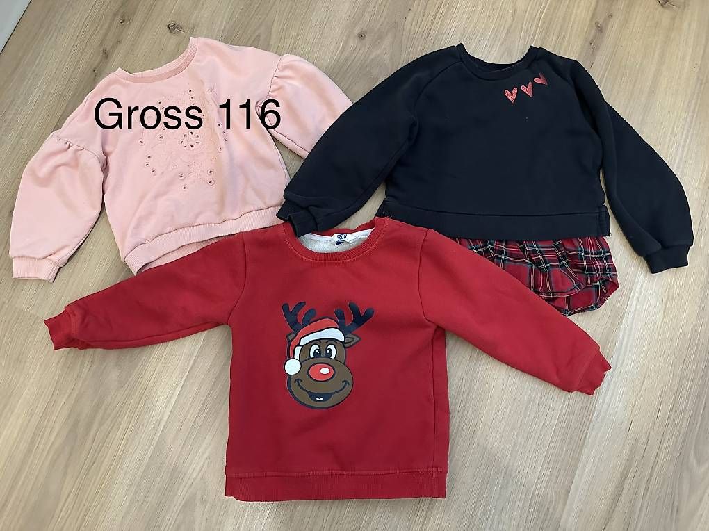 Pullover & Sweatshirts: Mädchen Pulli/Jacke gross 116 – Gebraucht aus ramsen von win_vtw2 1