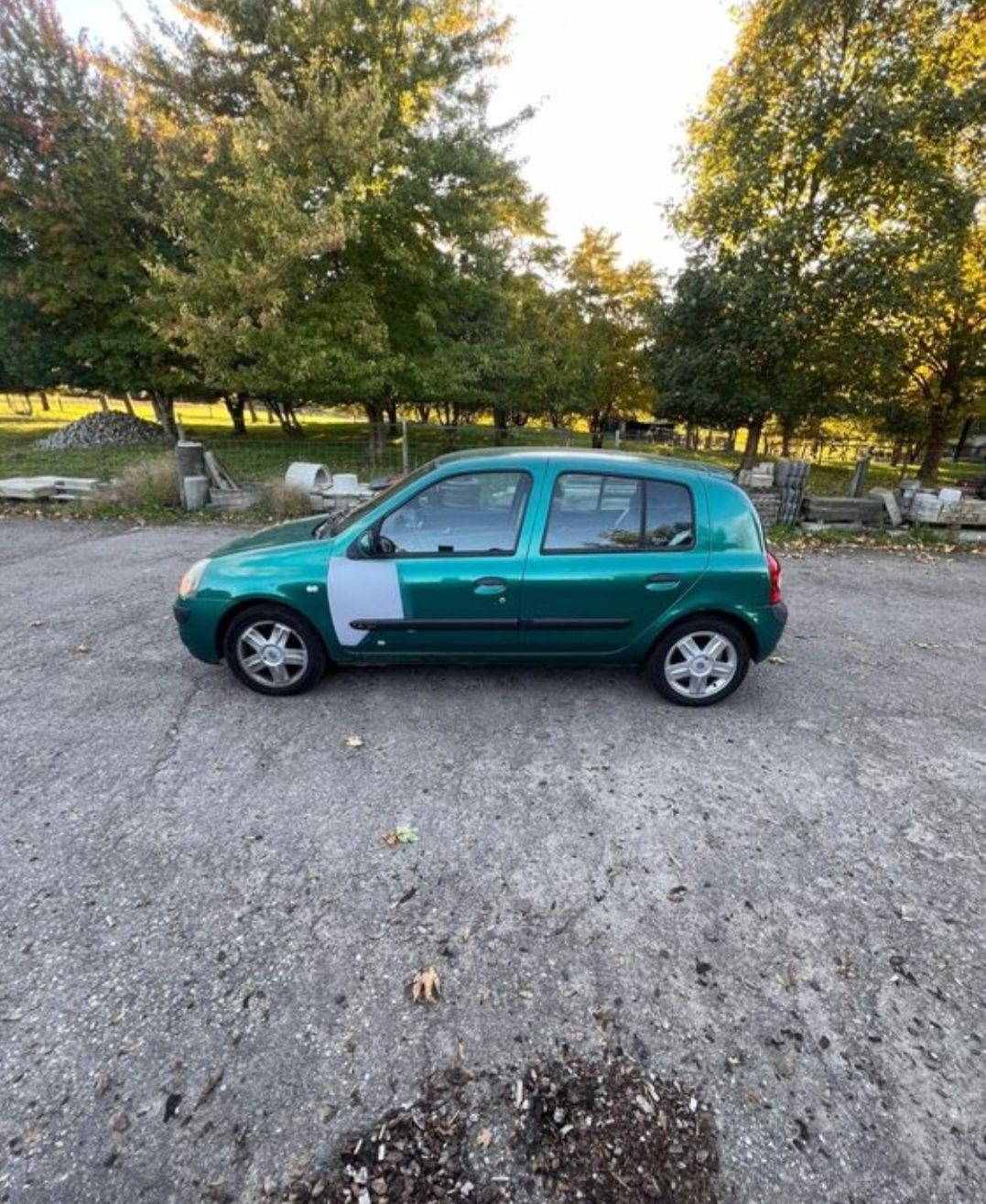 Renault Automobili: Renault Clio  – Usato da Elgg venduto da Kunkuru 3
