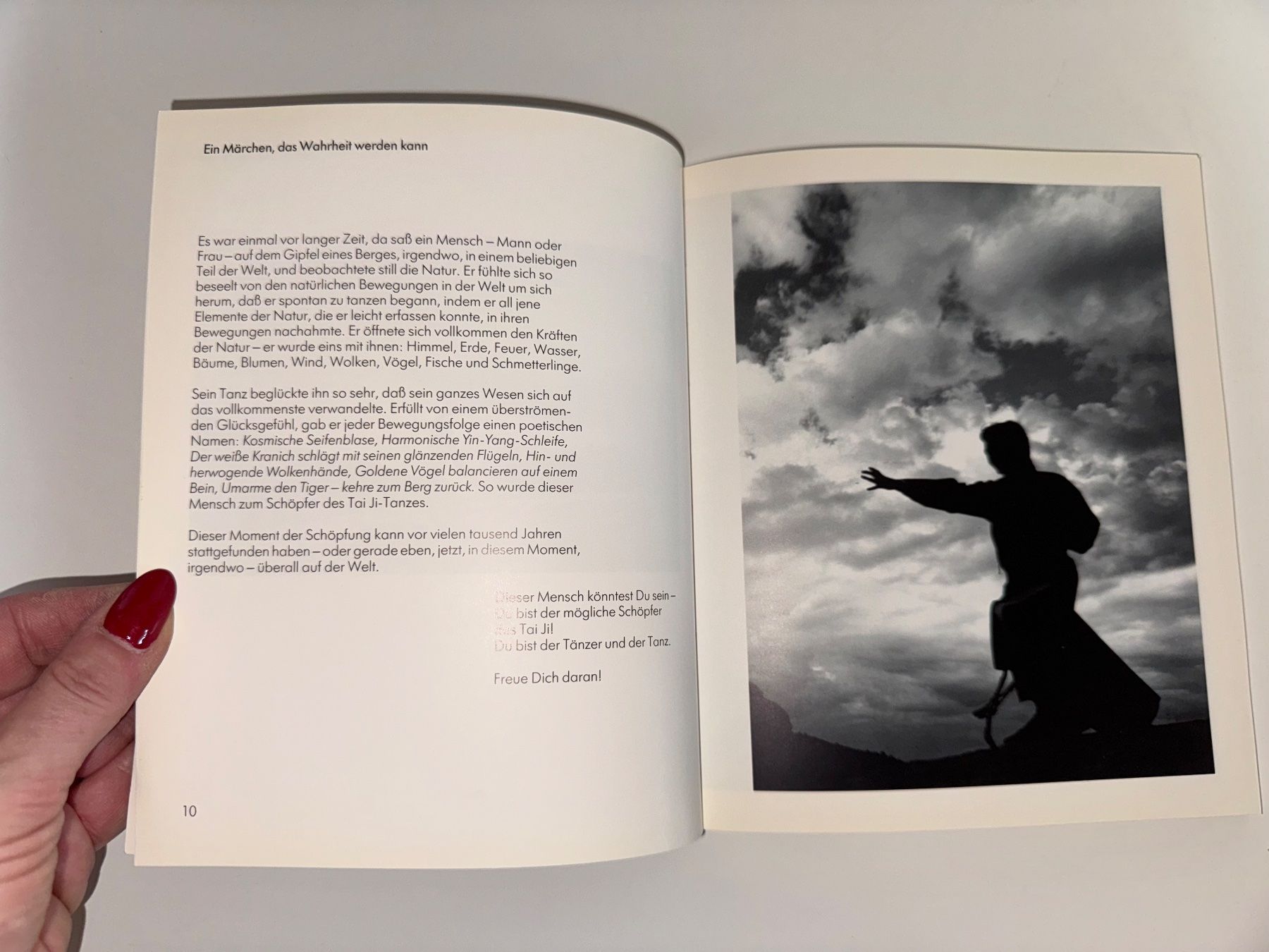 Libri: Buch: Tai Ji – Usato da Grosswangen venduto da Second_hand_paradise 2