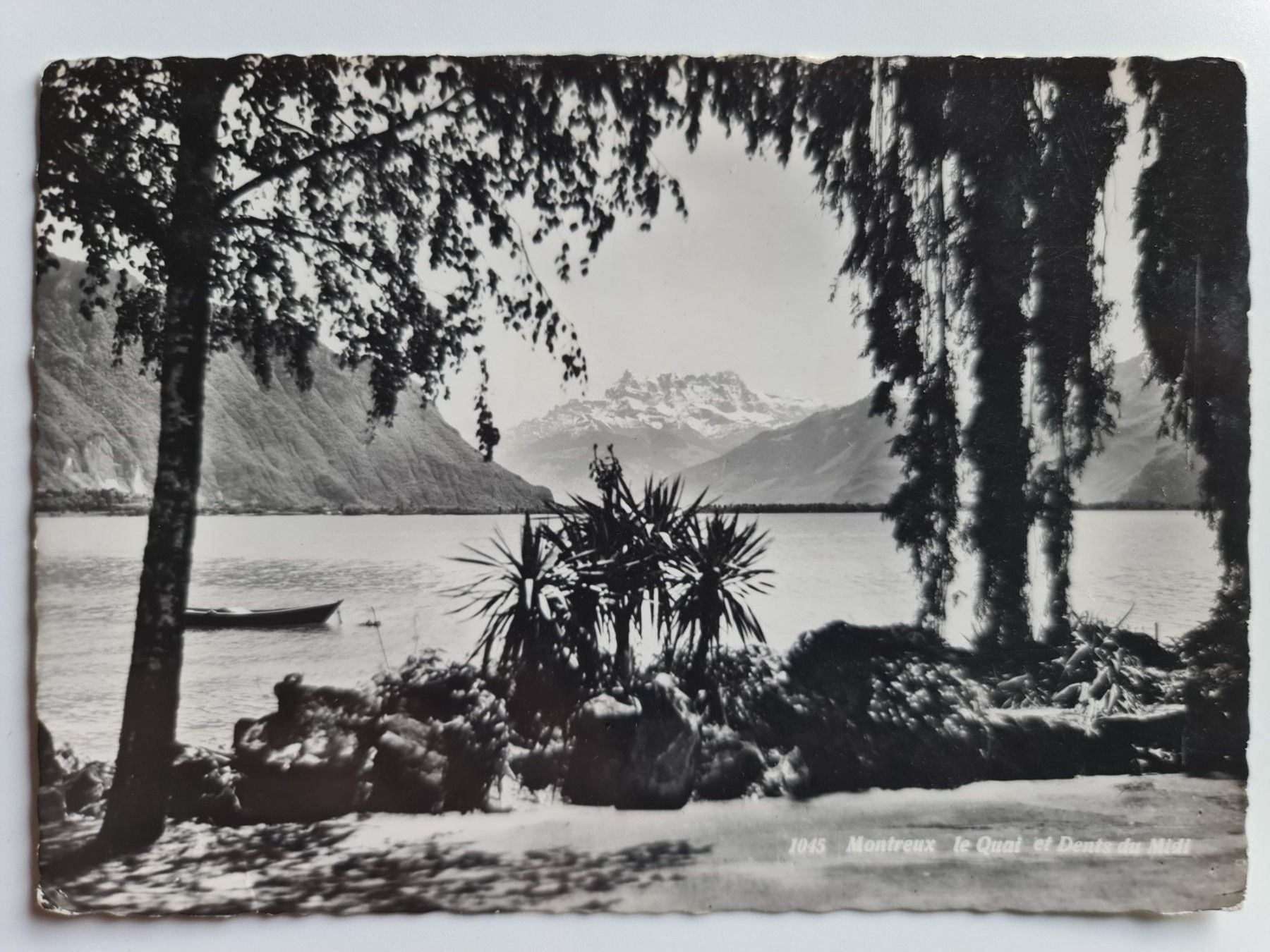 Cartoline postali: Ansichtskarte Montreux Schweiz – Usato da Dintikon venduto da Vexi