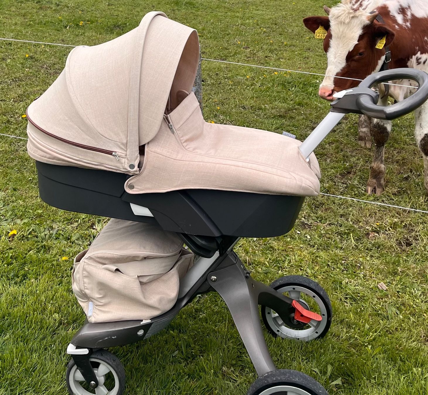 Carrozzine: Stokke Xplory V3 Stroller – Usato da Plaffeien venduto da kce_bj9r 5