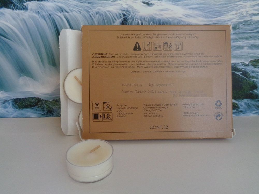 12 Teelichter Eisfrüchte ODER Honigmelone (Neu und originalverpackt) in ...