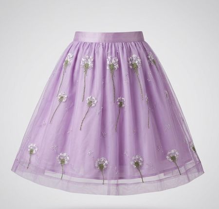 BLUMARINE gonne, ricami di tarassaco taglia 36IT, 38IT, 40IT