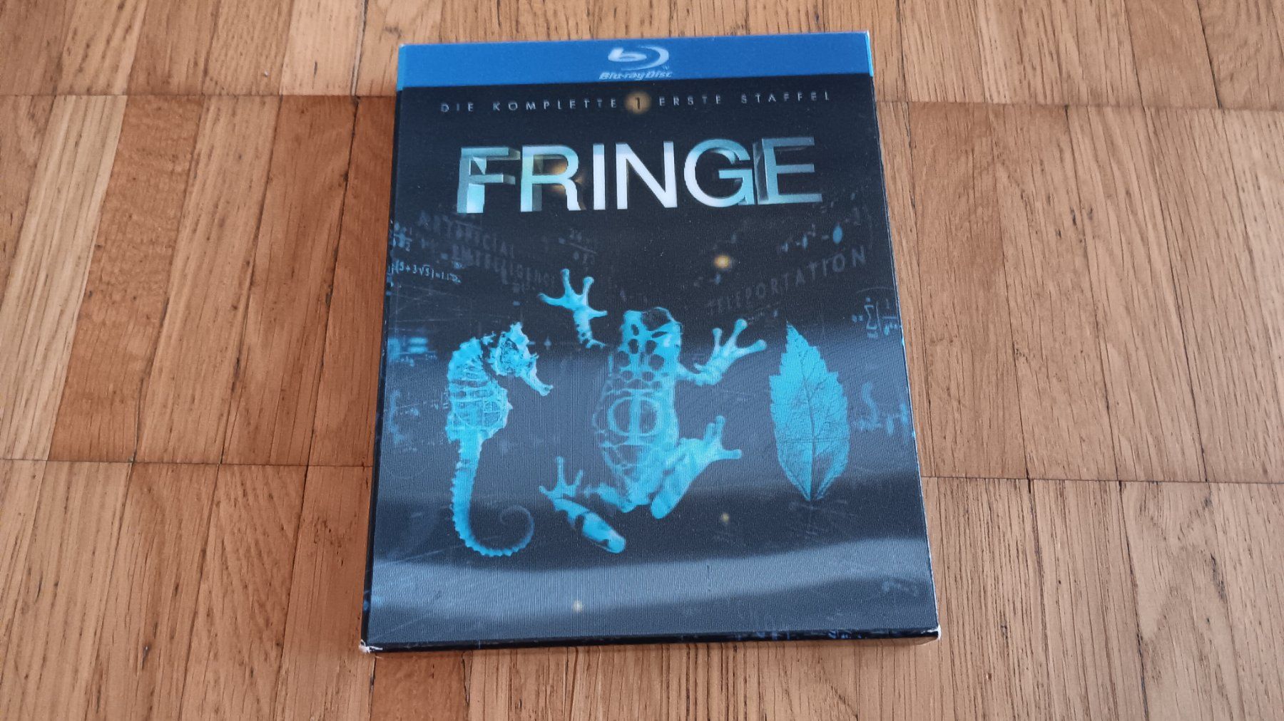 Tutti i DVDs: Fringe Die Komplette 1. Erste Staffel Blu-ray – Usato da Dietikon venduto da Rabia