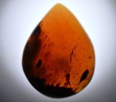 Ambra!!! Riesengroß! AB 1.-!!! Auf mein Risiko!!! (96)