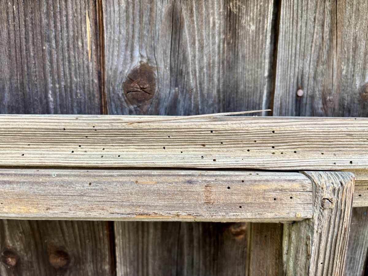 Fenster: Alter Fensterrahmen Holz – Gebraucht aus Gündisau von yuma06 3