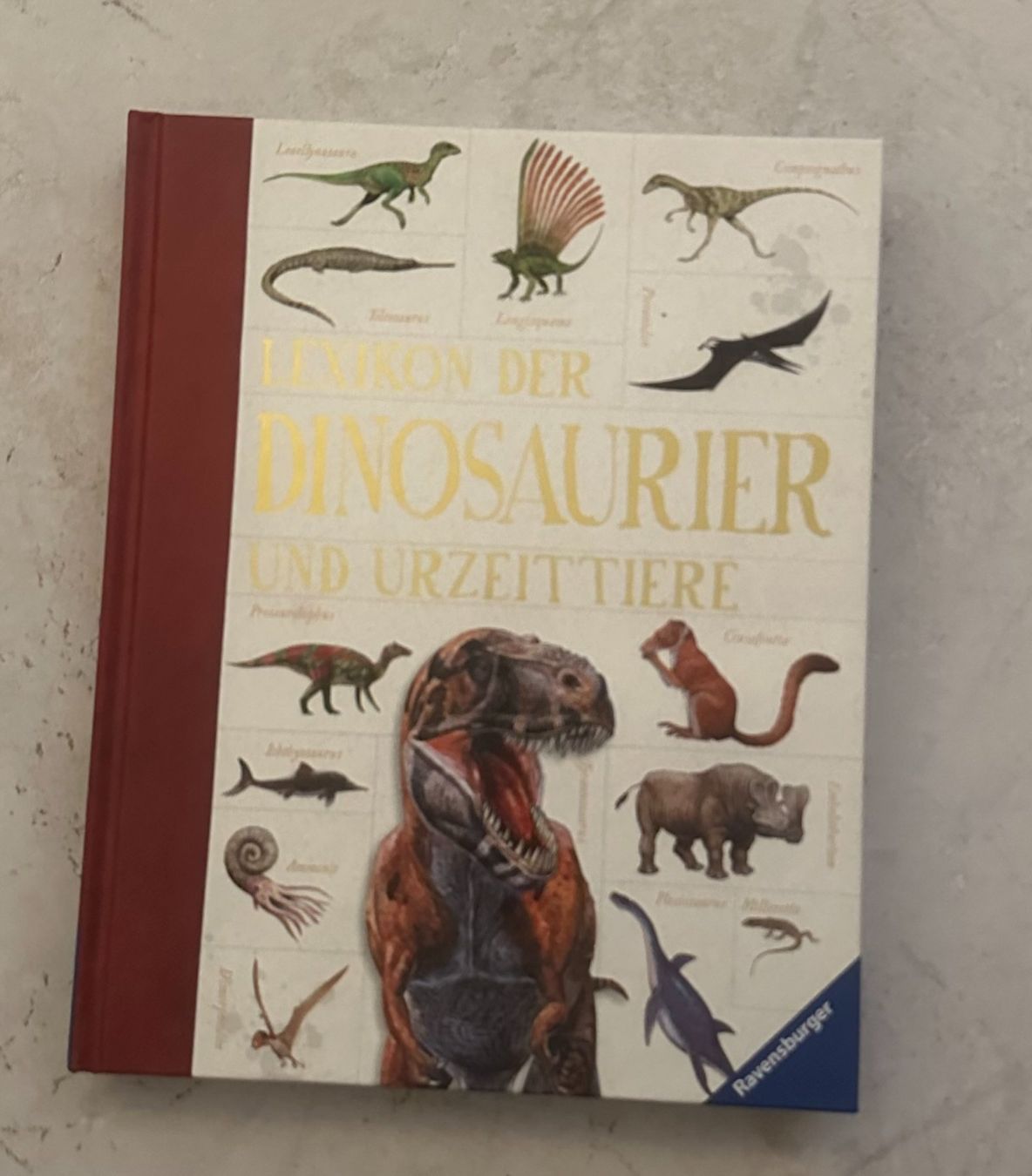 Bücher: Jugendbuch – Gebraucht aus Zürich von Mumpfi9