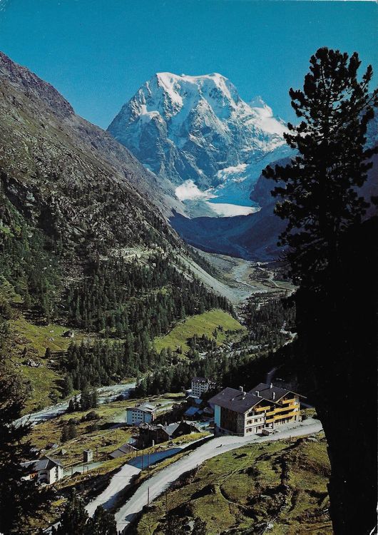 Arolla (g) Kaufen auf Ricardo