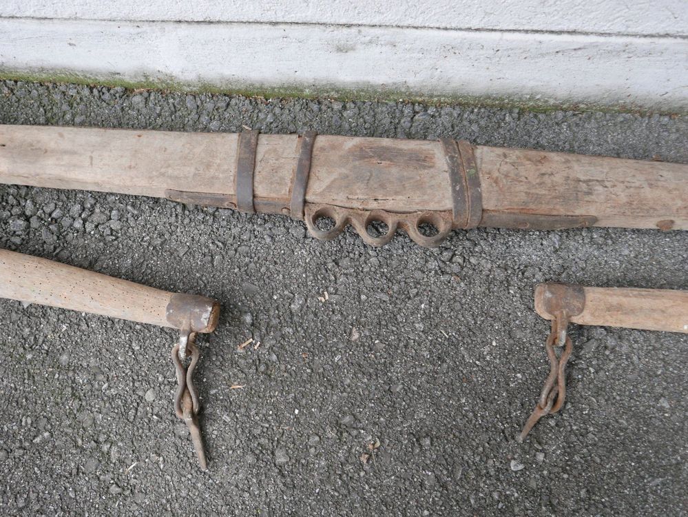 Fuhrwerk kaufen auf Ricardo