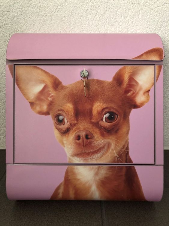 Briefkasten Hund Chihuahua Kaufen auf Ricardo