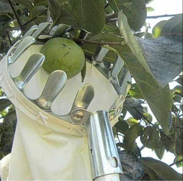 Obstpflücker Obsternter Erntehilfe Pflücker Ernte Teleskoparm für Äpfel Birnen