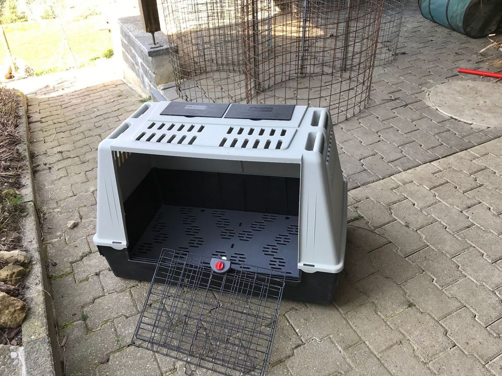 Xl Hundebox Hundebett Kaufen Auf Ricardo Ch