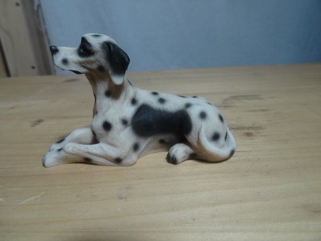 Hunde Pointer / Dalmatiner Faro Italien Kaufen auf Ricardo