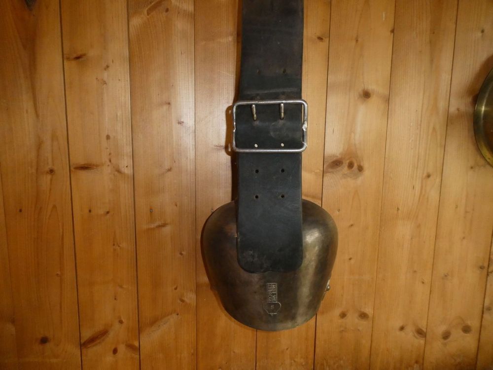 Sonnaille no5 Acheter sur Ricardo