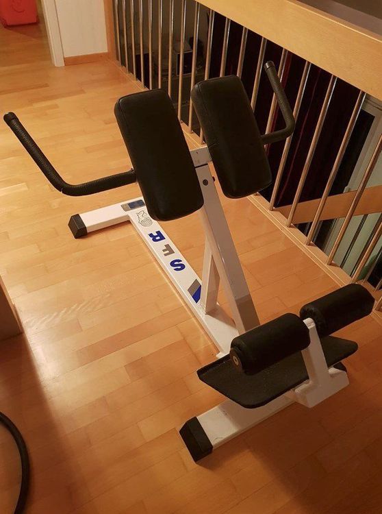 Profi Bank Hyperextension Ruckentrainer Kaufen Auf Ricardo