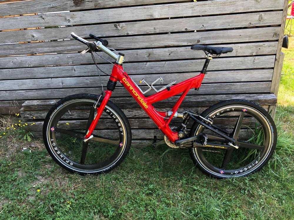 cannondale dual sport