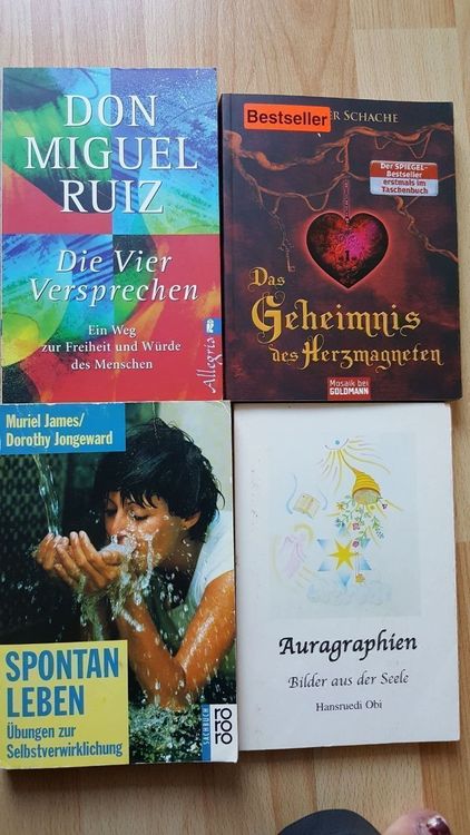 4 interessante Bücher Paket - Bestseller | Kaufen auf Ricardo