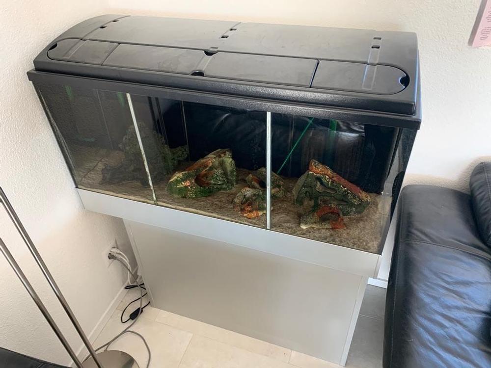 Aquarium 180l mit Zubehör kaufen auf Ricardo