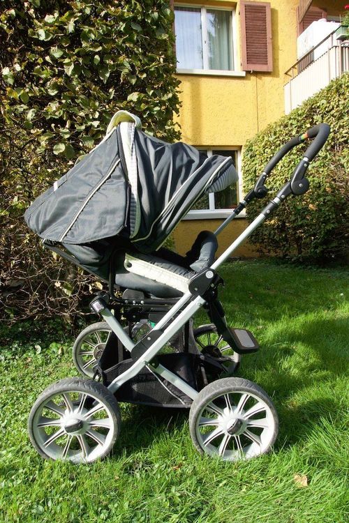 Kinderwagen Teutonia Mistral P12 Kombi Kaufen Auf Ricardo