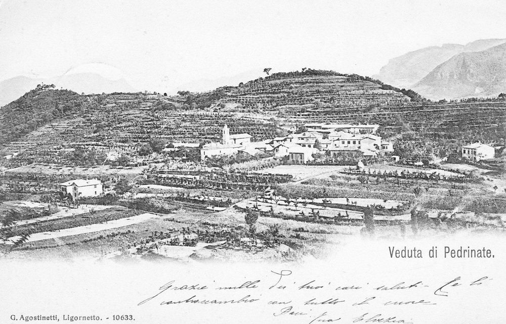 Pedrinate kaufen auf Ricardo