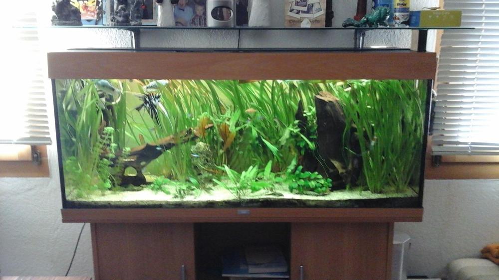 250l Aquarium Komplett | Kaufen auf Ricardo