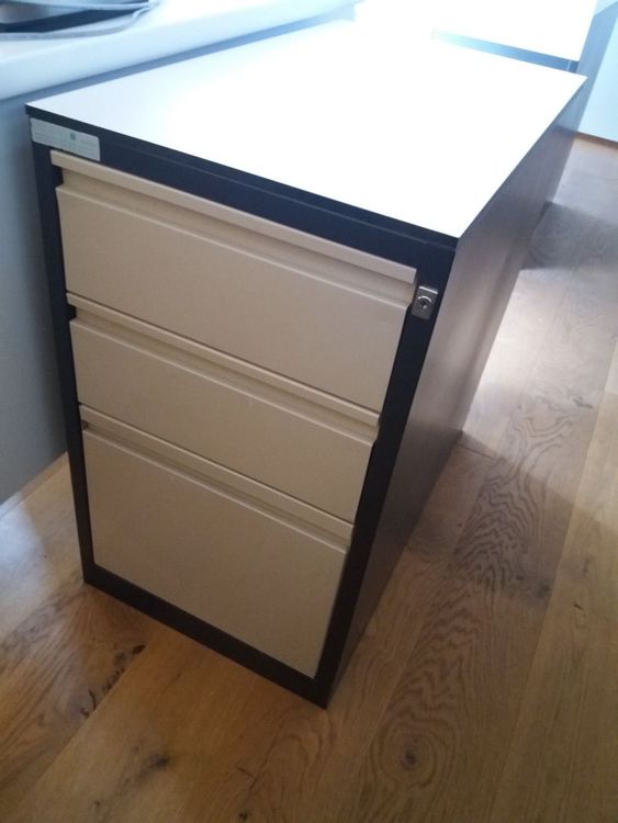 Korpus Kaufen auf Ricardo