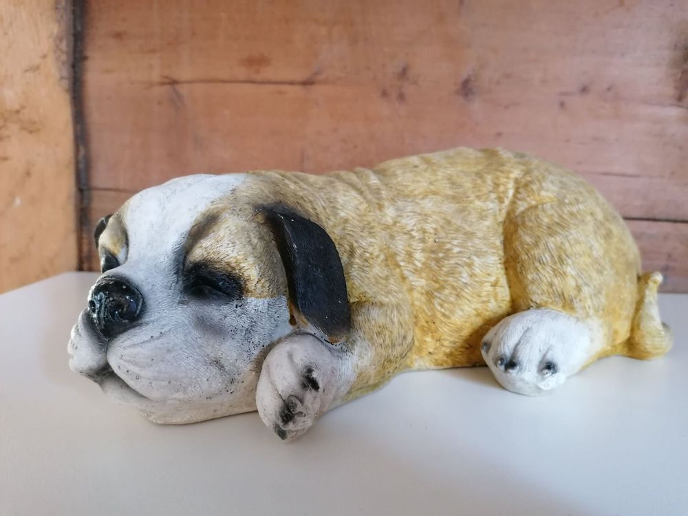 Trolliger schlafender Hund. Kunststoff Kaufen auf Ricardo
