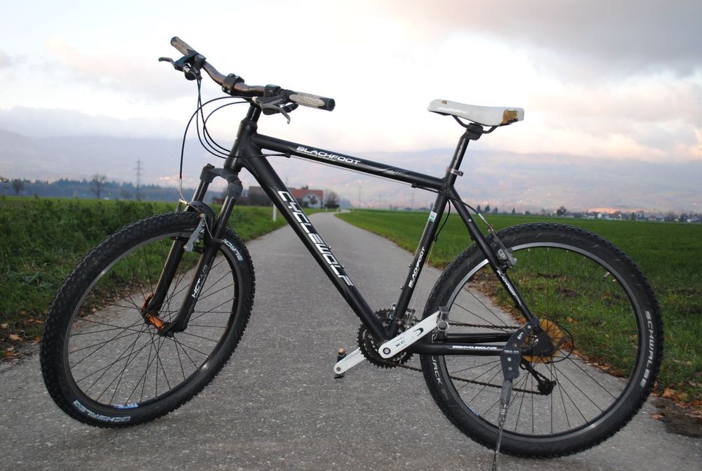 cycle wolf mountain bike