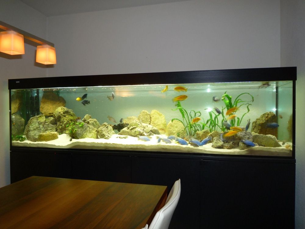 Riesen Aquarium Zu Verkaufen